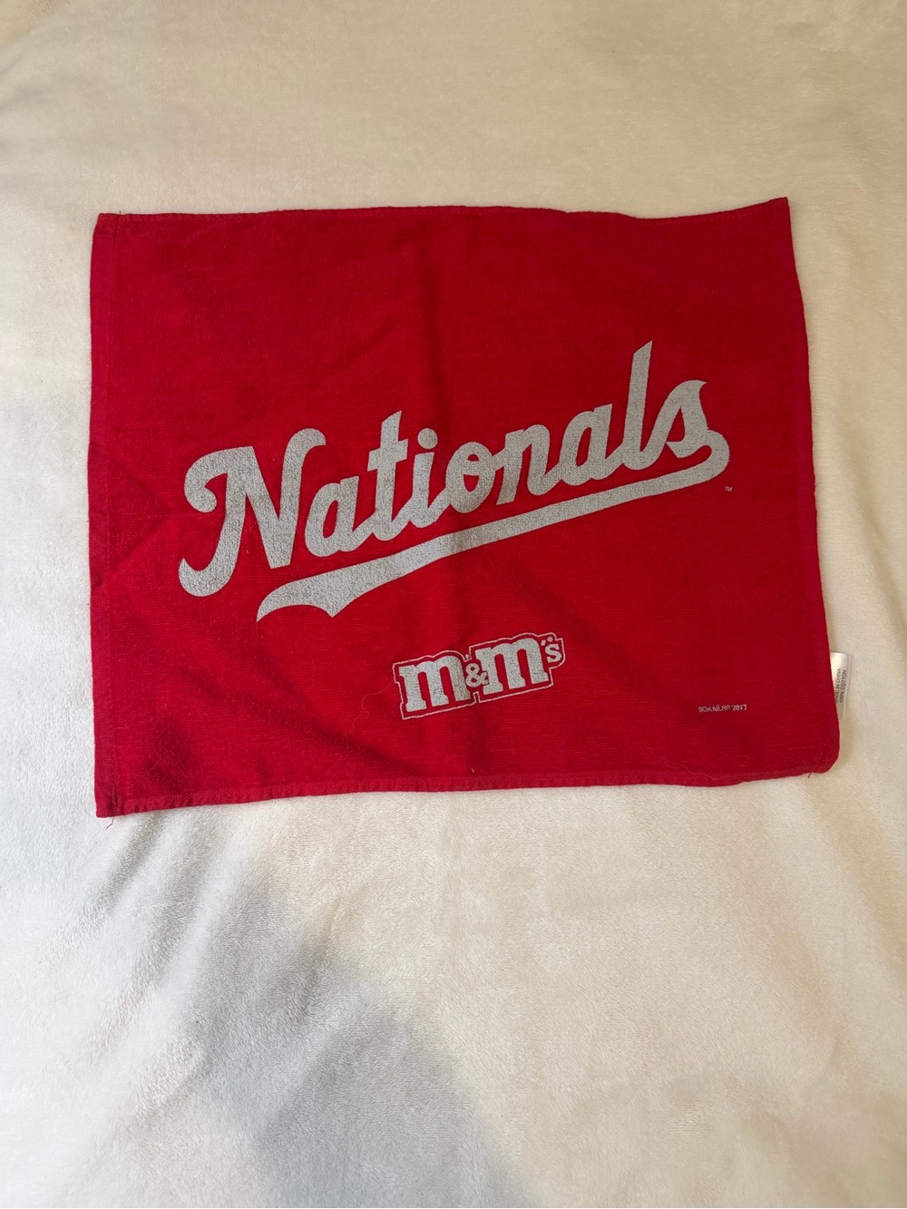 💙 Nationals Game Towel